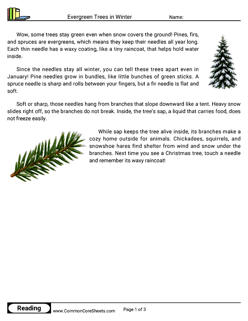 2nd Grade 25 Days of Christmas Reading - Evergreen Trees in Winter worksheet
