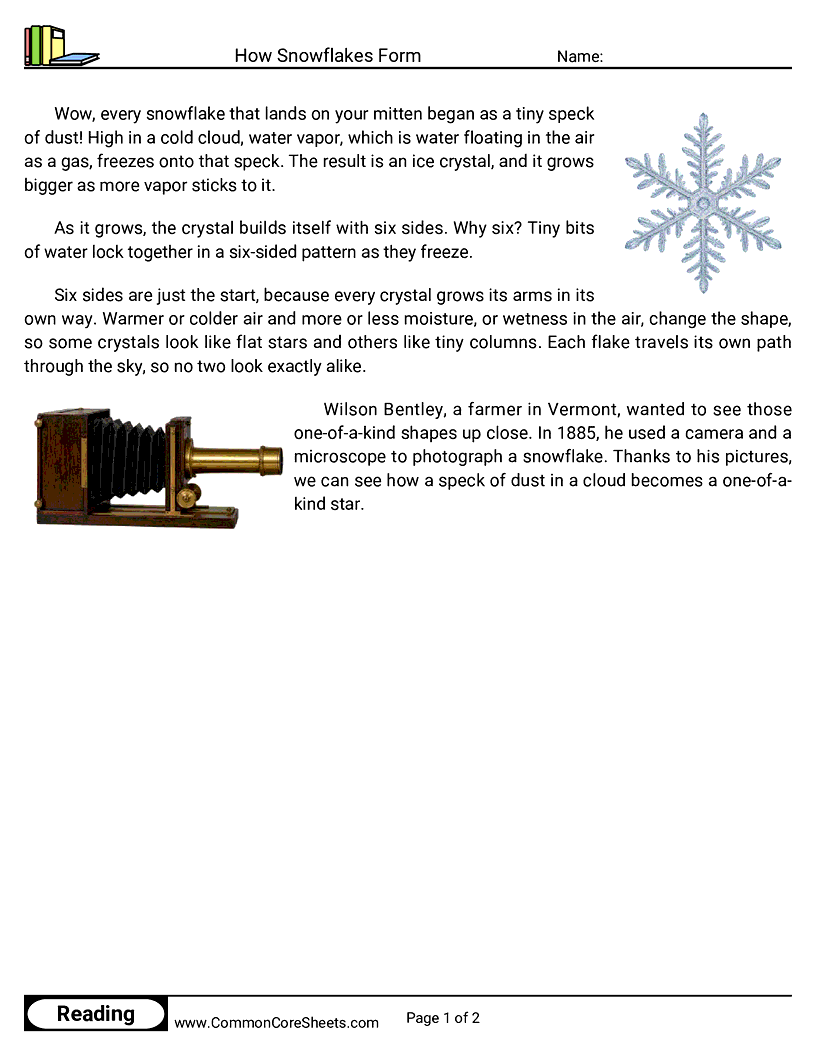 2nd Grade 25 Days of Christmas Reading - How Snowflakes Form worksheet