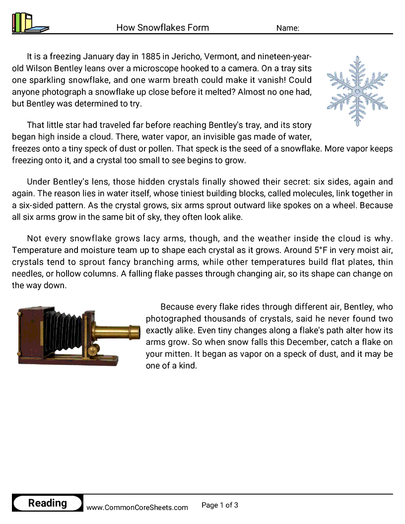 4th Grade 25 Days of Christmas Reading - How Snowflakes Form worksheet