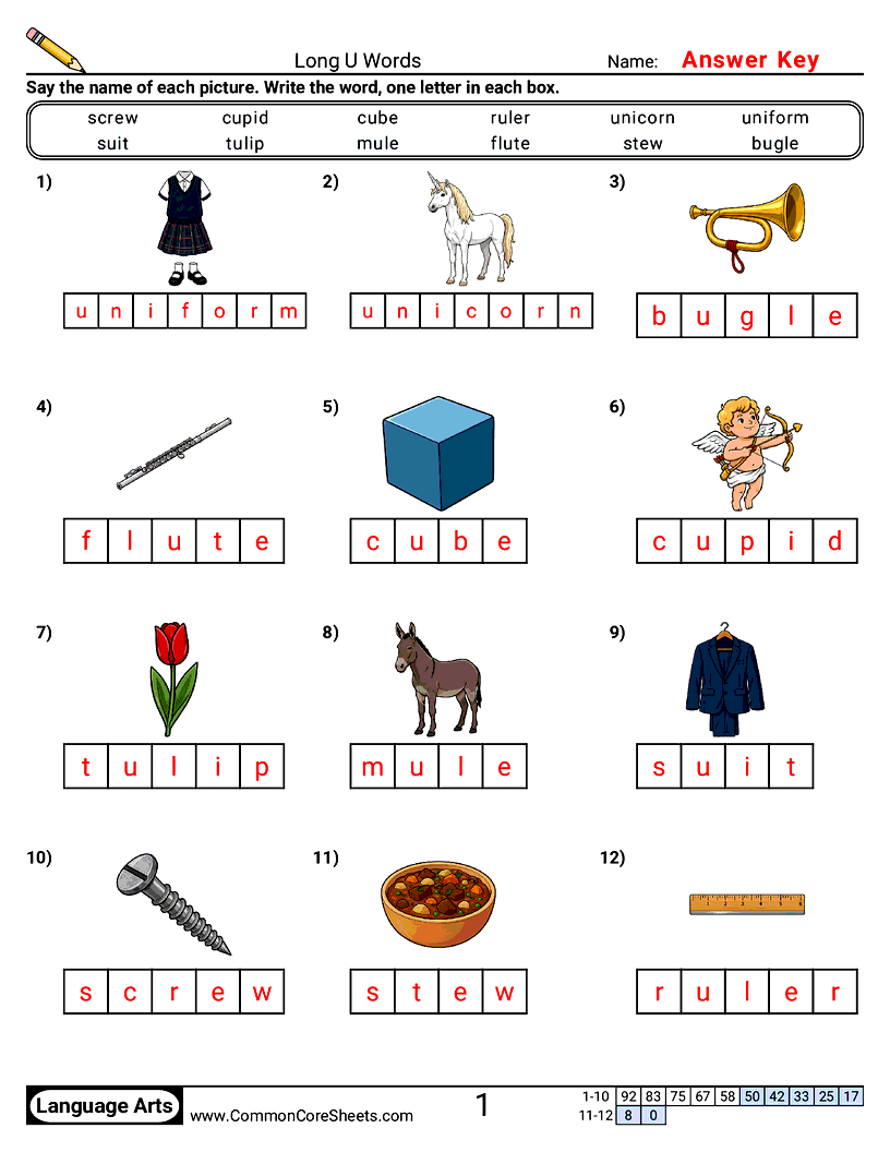 Long Vowel Words Phonics Worksheets - Long U Words worksheet