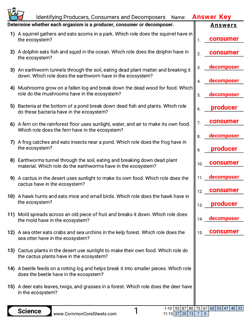 Classifying Organisms as Producers, Consumers or Decomposers worksheet preview