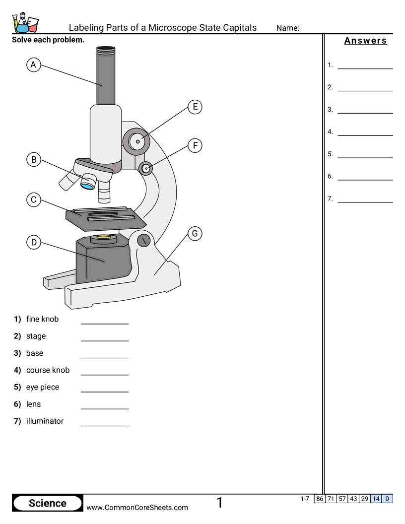 Microscope Parts Worksheet Labeled